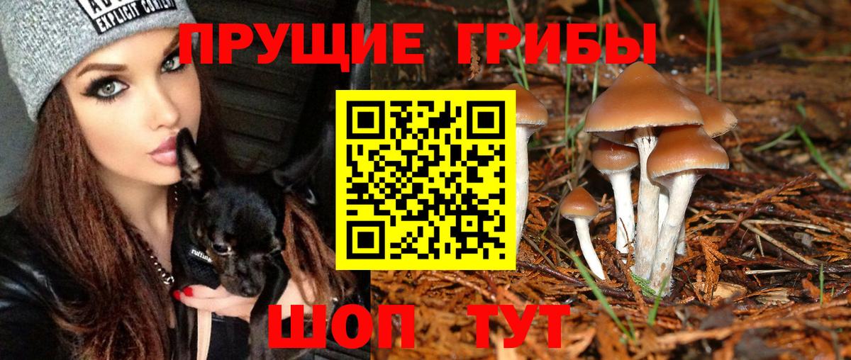 Галлюциногенные грибы MAGIC MUSHROOMS Курганинск