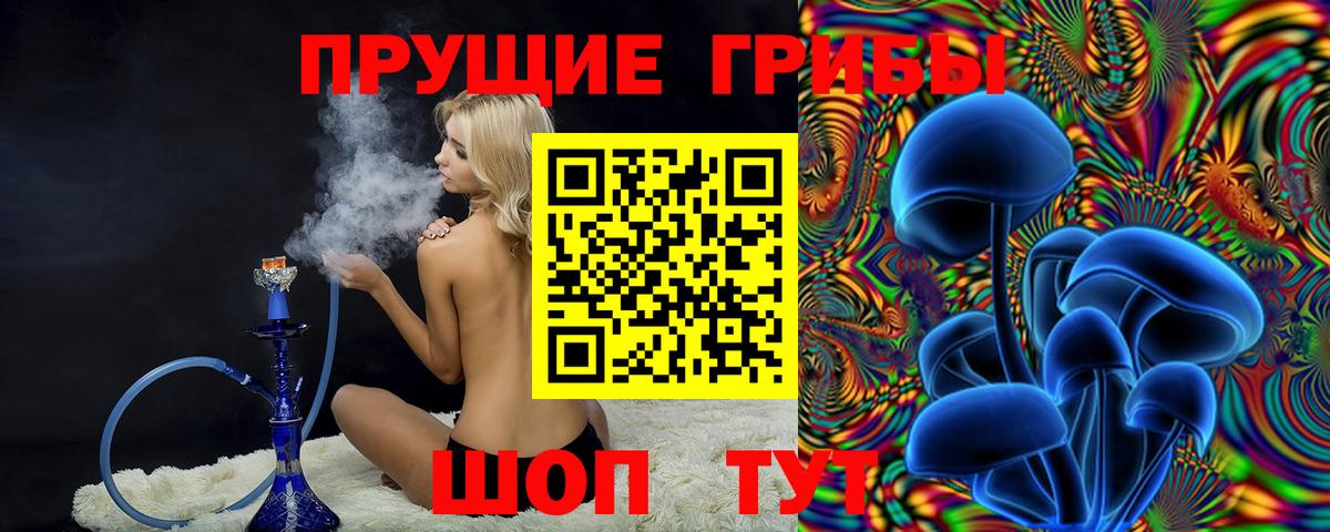Курганинск  Галлюциногенные грибы прущие грибы  Вход с VPN 